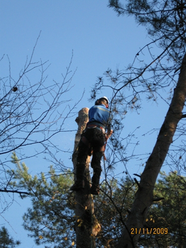 Klimmen 9