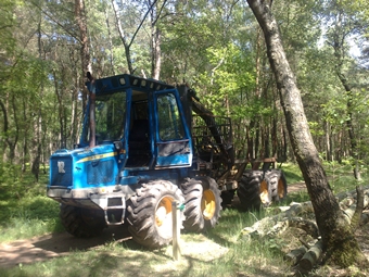 forw harv 1